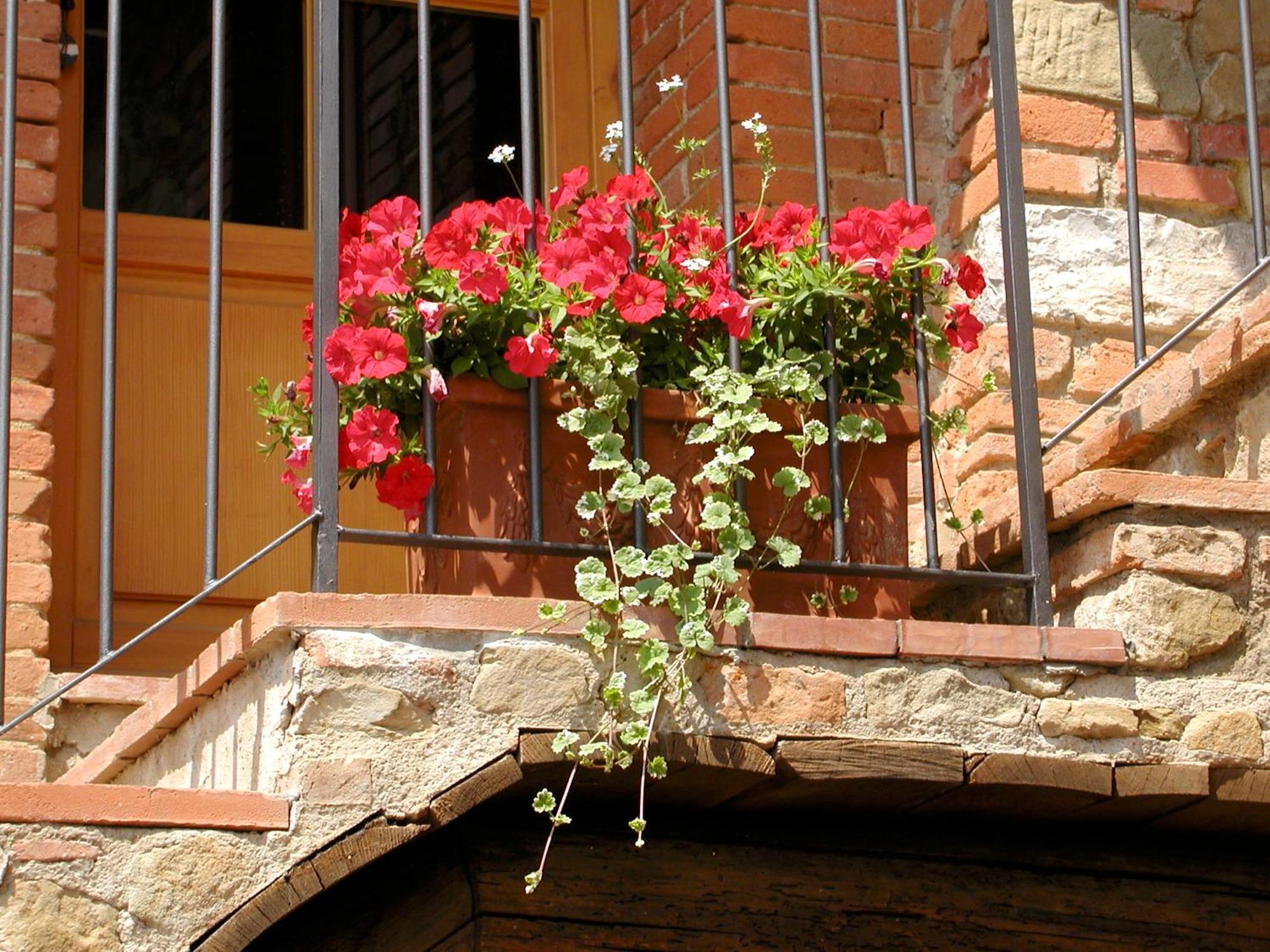 Ventena Vecchia Antico Frantoio Montevarchi Buitenkant foto