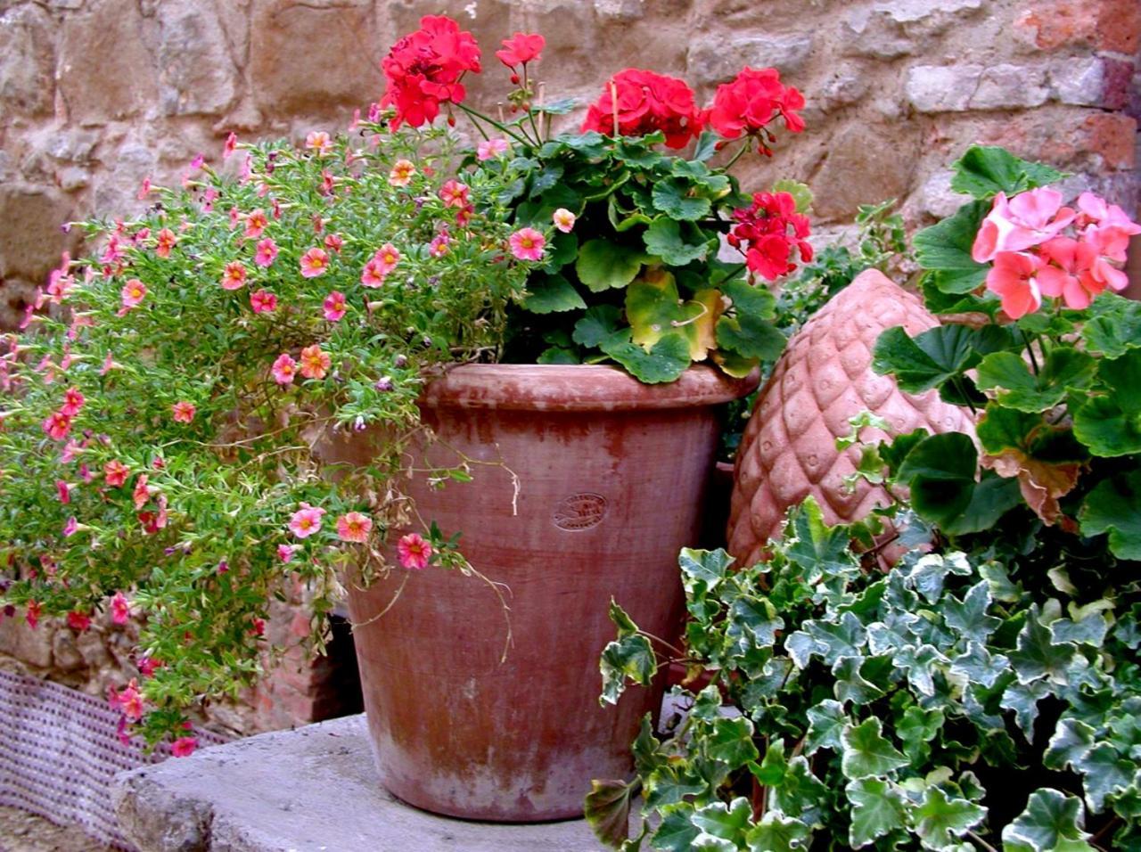 Ventena Vecchia Antico Frantoio Montevarchi Buitenkant foto