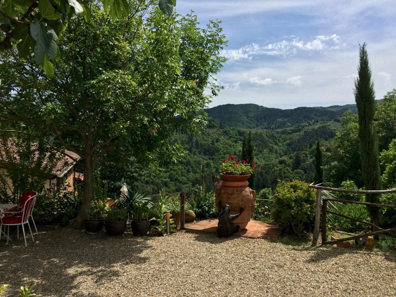 Ventena Vecchia Antico Frantoio Montevarchi Buitenkant foto