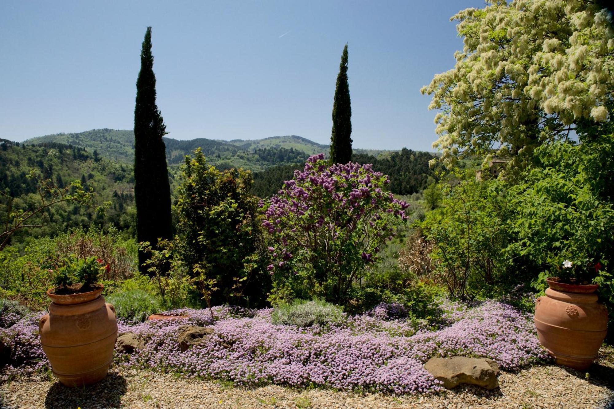 Ventena Vecchia Antico Frantoio Montevarchi Buitenkant foto